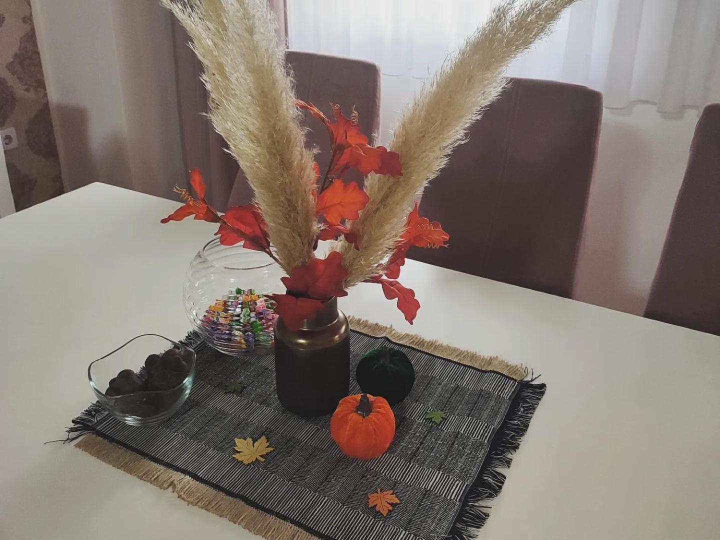 בייאליינה Apartman Jana מראה חיצוני תמונה